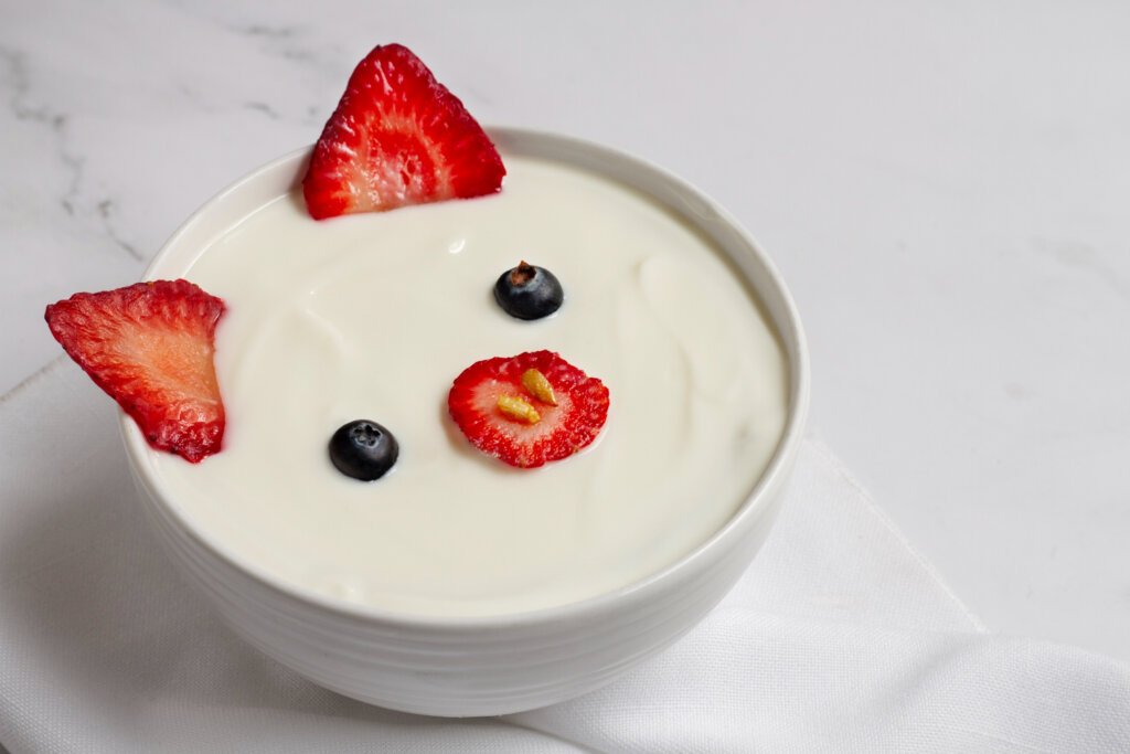 yogurt on a bowl with strawberry